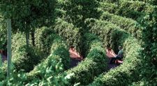 Austriecii construiesc un parc care le va permite oamenilor să iasă la aer fără a încălca distanțarea socială