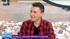 VIDEO Alpaca, un nou proiect online