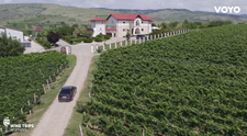 Wine Trips România, sezonul 4 | În căutarea unicornilor din basme la Licorna Winehouse