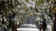 Avertismentul meteorologilor: Iarna se întoarce în România! În ce zile din luna martie va ninge