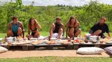 Tigrii merg la picnic: ”Eu nu știam decât picnicul ăla din Tom și Jerry”