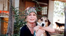 Funeraliile lui Brigitte Bardot: „înhumare privată şi confidenţială”