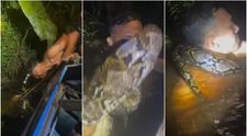 VIDEO Momentul absolut terifiant în care un piton uriaș atacă un ghid turistic! Bărbatul a fost tras în apă și sugrumat de șarpele agresiv
