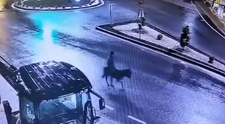 Mai ceva ca-n filmele americane! Un bărbat a dat spargere la un magazin de bijuterii și a fugit... pe un măgar. Imagini de la ”jaful secolului”