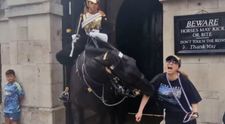 O turistă a stârnit un val de reacții negative pe internet după ce a fost mușcată de un cal din Garda Regelui! Ce încerca femeia să facă: „Ce este în neregulă cu acești oameni?”