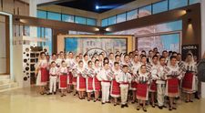 Ansamblul Doina Ilfovului - Ilfov