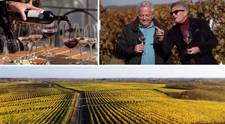 Wine Trips România | Secretul vinurilor roșii de Sâmburești, medaliate cu aur pe plan internațional