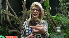 Invazie de fluturi vii la Muzeul Național de Istorie Naturală Grigore Antipa! Spectacolul exotic care îi lasă fără cuvinte pe vizitatori