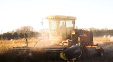 (P) Cele mai importante activități din domeniul agricol în funcție de lună