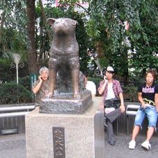 statuia lui Hachiko