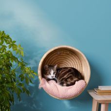 Surpriză pentru pisica ta! Cele mai ingenioase idei de „căsuțe” pentru animalul tău de companie