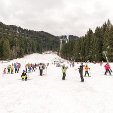 shutterstock_240133303