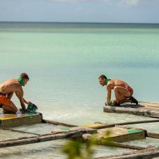 Survivor Romania (7)