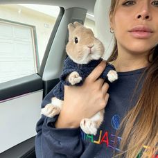 “He’s not a pet, He’s a travel companion 🧳🐇🌴” #bunnydayoff #bunny#brand #fashionista #rabbits (1)
