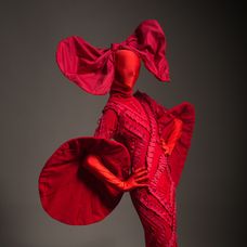 Diana Boldeanu, Red Mantis