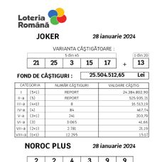 loto castig 1
