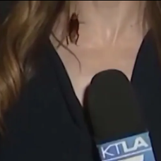 gandac tv 2