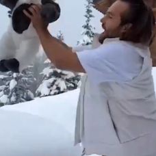 Captură de ecran 2025-01-17 113713
