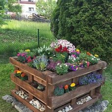 Cum creezi cele mai frumoase aranjamente florale pentru grădina ta
