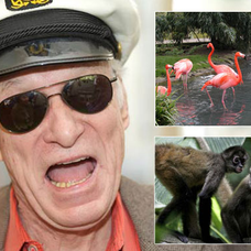 Hugh Hefner