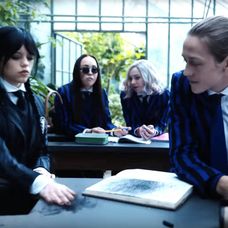 profimedia-0714706253