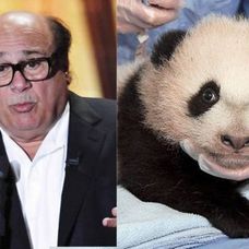 Danny de Vito