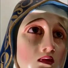 mary 8
