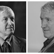 mircea diaconu