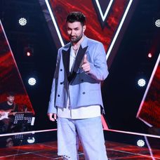 smilica vocea