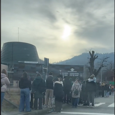 zoo brasov 2