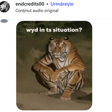 Screenshot 2026-01-09 083913