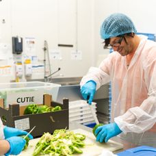  Șef sub acoperire, 21 noiembrie 2024. Dragoș Popa merge la fabrica de producție Domino's Pizza, unde o cunoaște pe Claudia Leca. Pâna ca ziua de muncă să se încheie, acesta sesizează o probl (5)