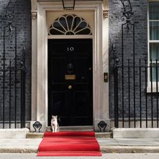 GettyImages-1517820656