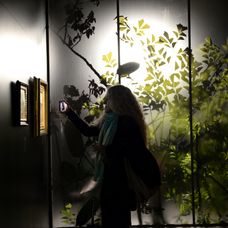 Expoziție Ioan Andreescu (2)