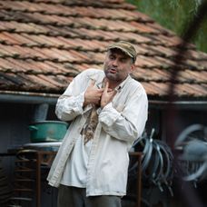 Celentano (Las Fierbinti)