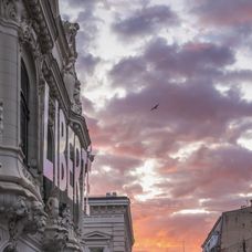 IMG_6272