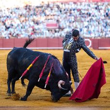 GettyImages-2269956010