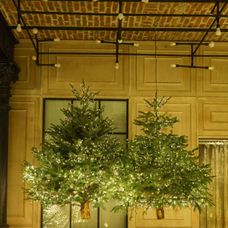 The Christmas House - Atelier Iris 2