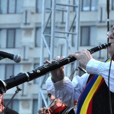 Dumitru Fărcaș. FOTO: Agerpres