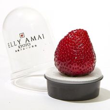 Why-Does-This-Single-Strawberry-Cost-19-FT-BLOG0225-Elly-Amai-01-437df944db304df293b885c6bcc397f4