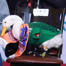 GettyImages-2282253009 (1)