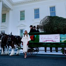 GettyImages-2248243020