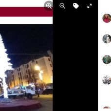 comentarii la brad targu mures