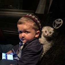 Hasbulla Magomedov are o pisică drăguță pe post de animal de companie
