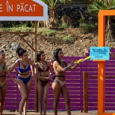 pacat 14