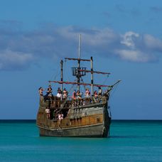 Survivor Romania (2)