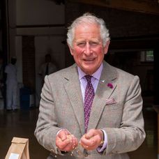 Prințul Charles, fermier pe domeniul regal Sandringham. A transformat propritatea în fermă organică