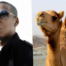 Jay-Z