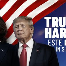 fbdbbb85-87a3-4c52-9c92-e7007d909d0c