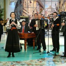 Muzica populara
